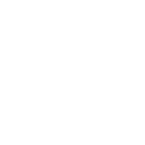 Tier